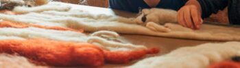 El Centro Joven de Montijo acoge un taller de fieltro organizado por Laneras los días 6 y 7 de octubre, dentro del proyecto Pro-Tejiendo Territorios.