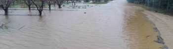 l Ayuntamiento corta el acceso a la Charca y al Merendero de Puebla de la Calzada por la crecida del Guadiana tras las intensas lluvias.